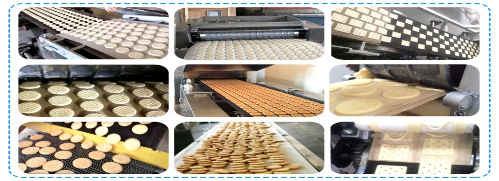 Línea de producción de galletas grandes