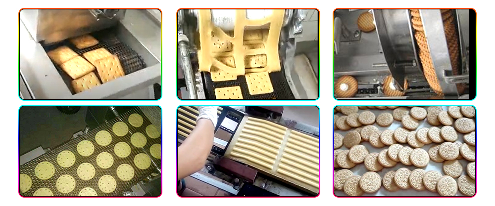 Máquina automática para hacer galletas duras de 100 kg/h con control PLC a la venta en Argelia